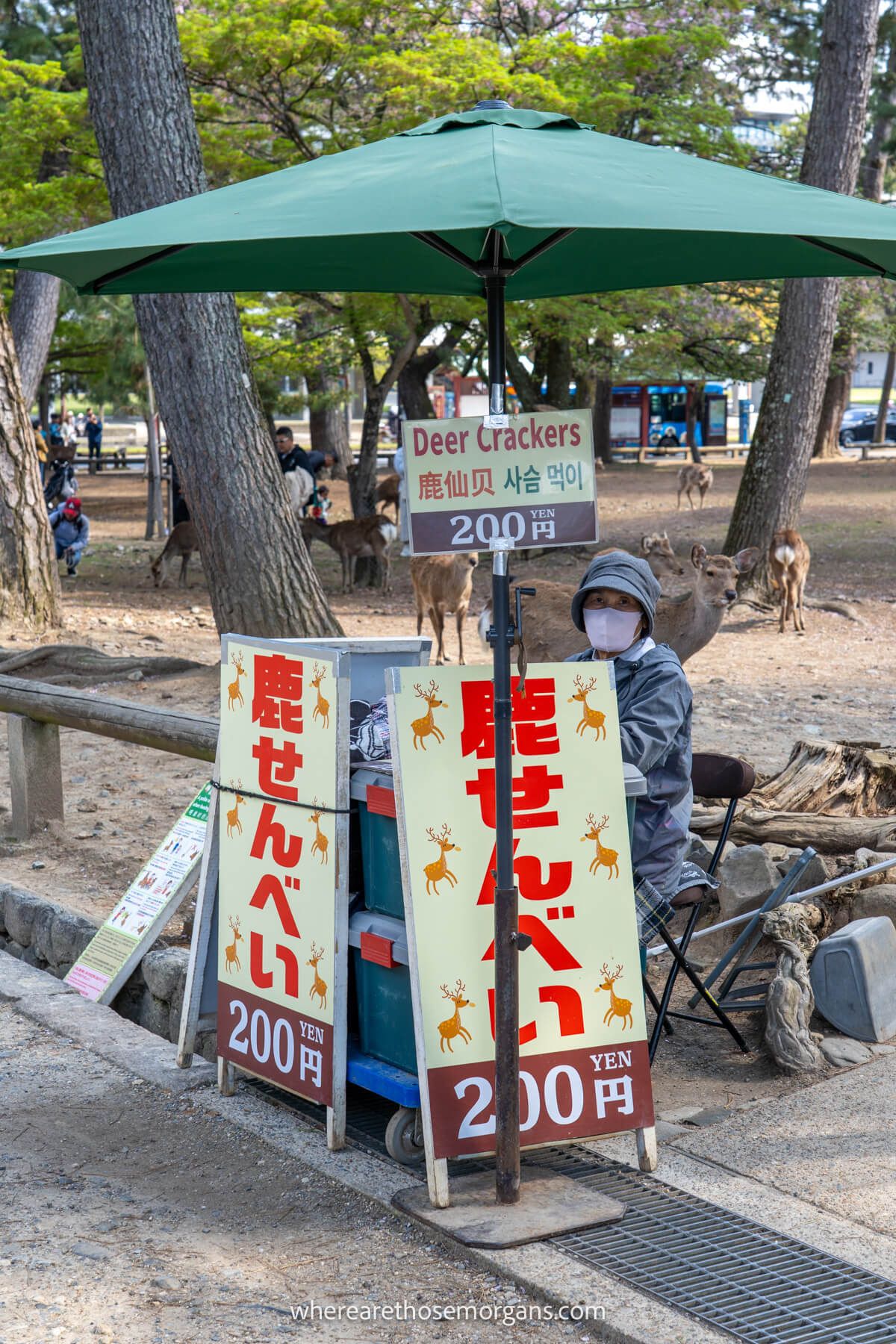 Woman sitting under an umbrella selling deer crackers to tourists