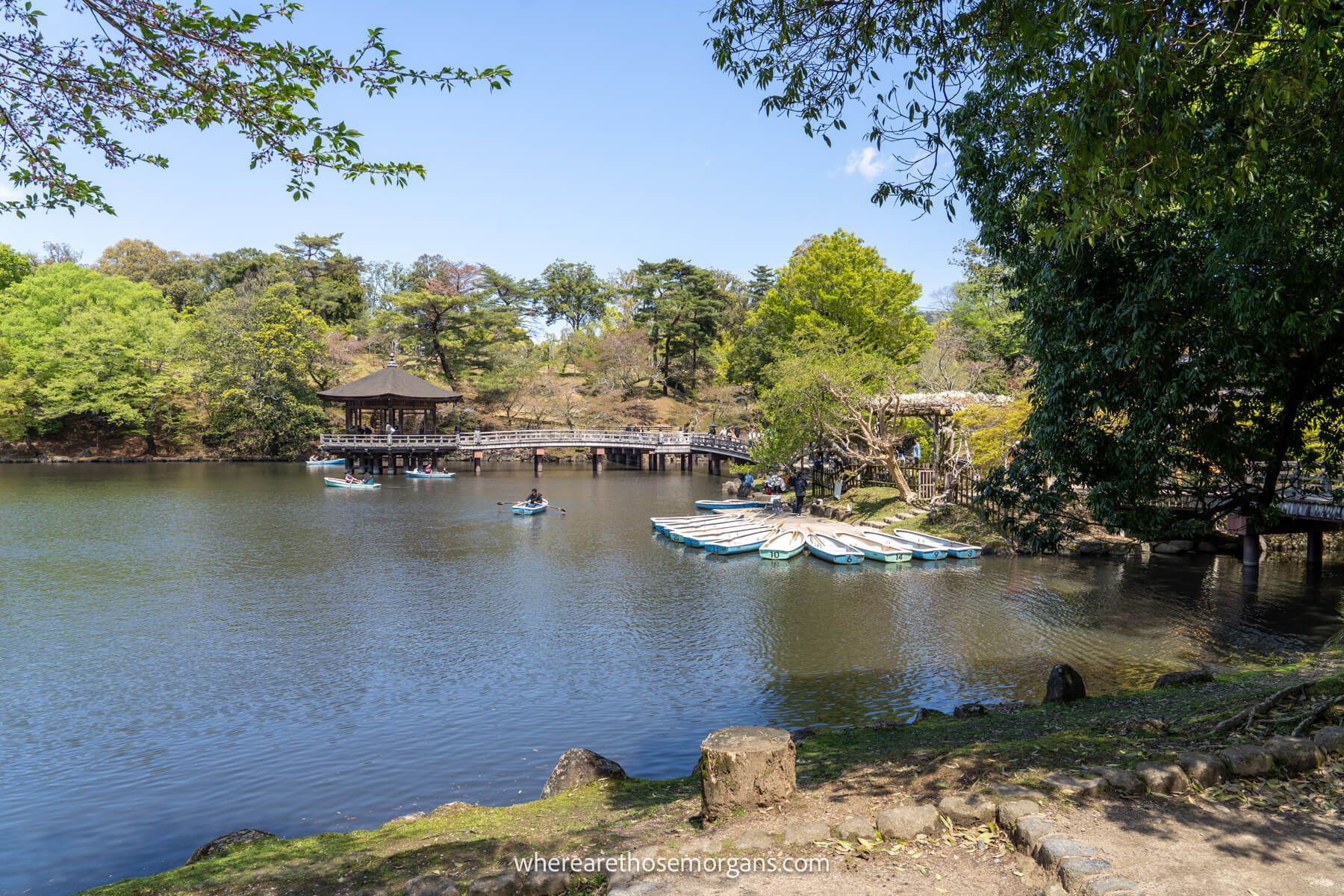 Photo of a pond with rowing boats and a wooden walkway to a pavilion