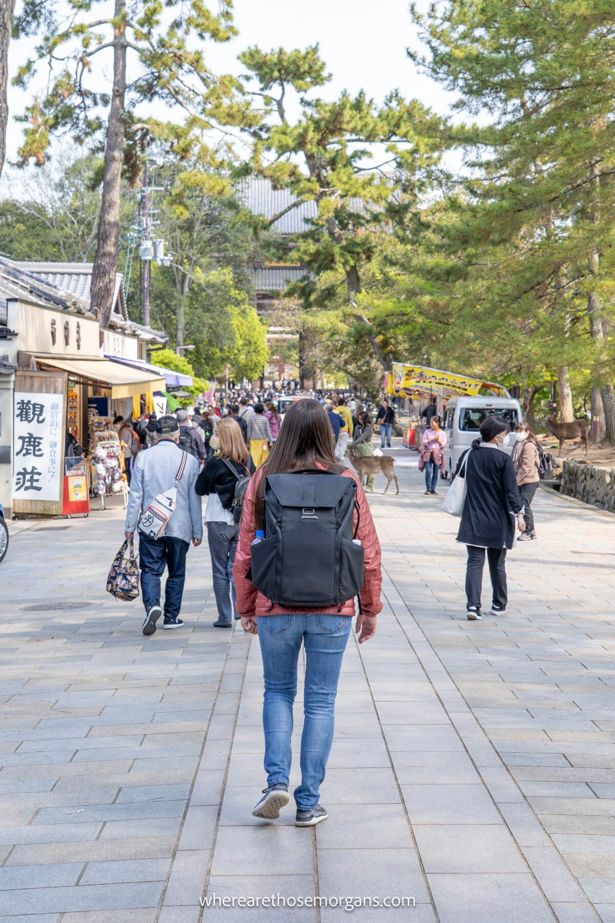 Photo of Kristen Morgan walking along a pedestrian path with other tourists and locals and deer towards trees and food stalls in Nara, Japan