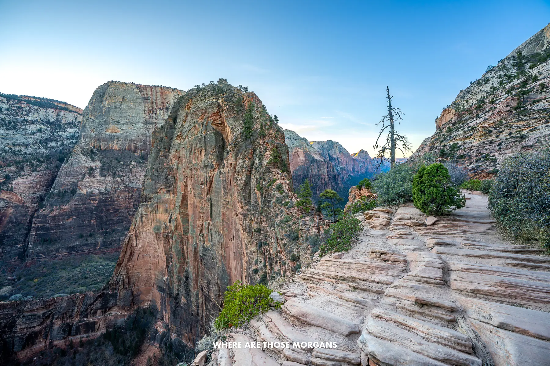Photo of Angels Landing trail at sunrise with no hikers around