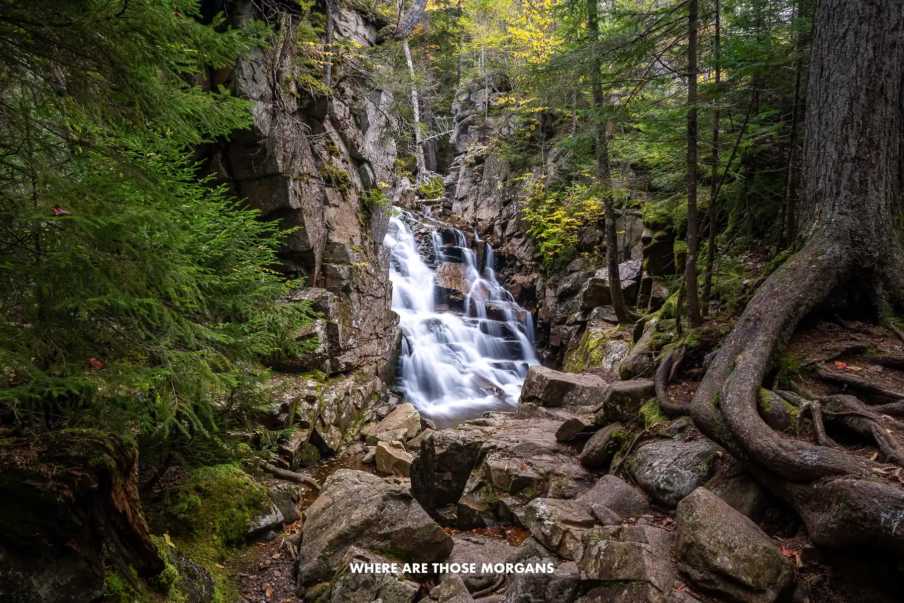 Photo of a waterfall surrounded by rocks and tree roots in New England