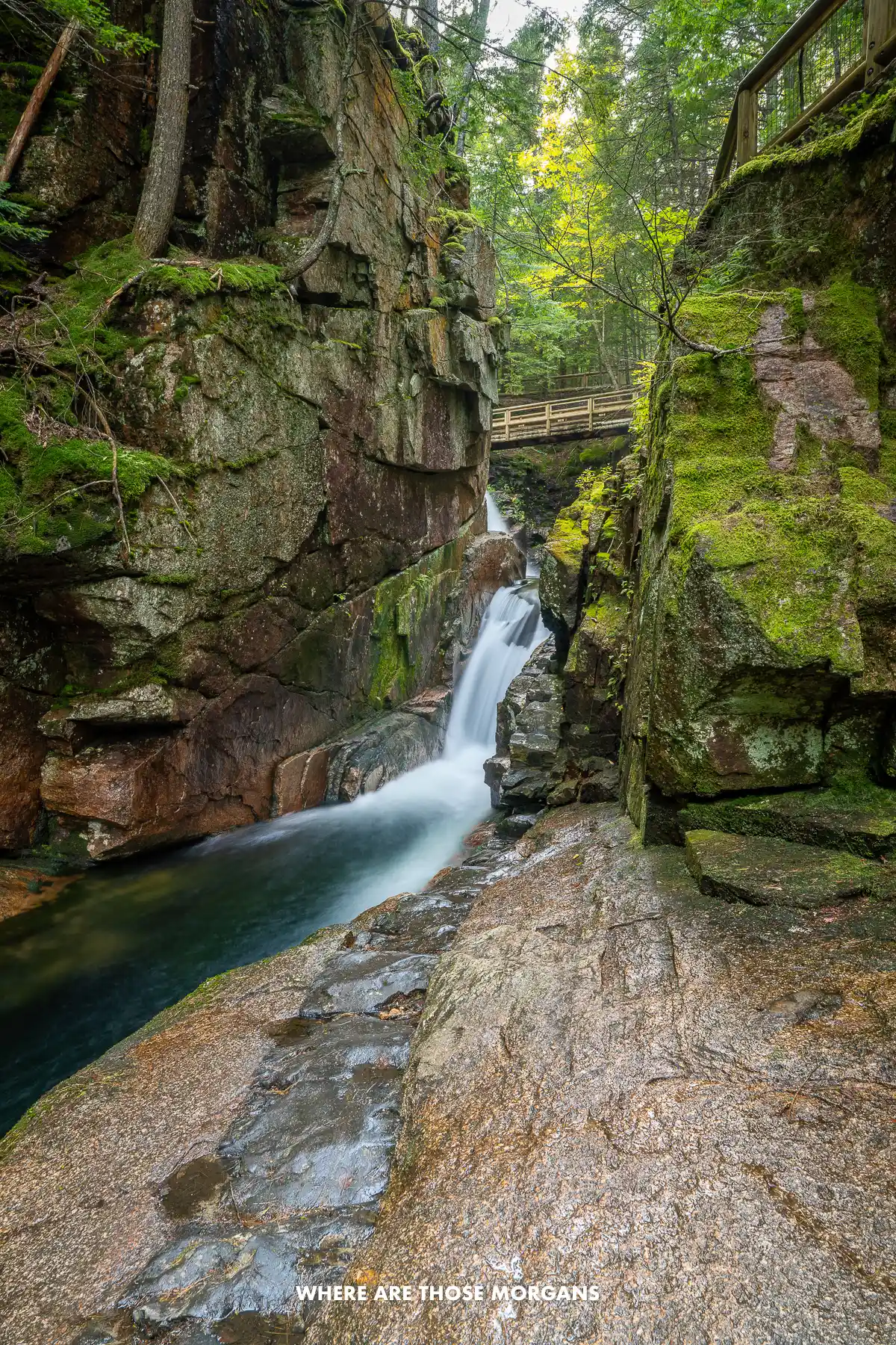 Photo of a narrow gorge with a waterfall called Sabbaday Falls, trees with green leaves and moss in New Hampshire