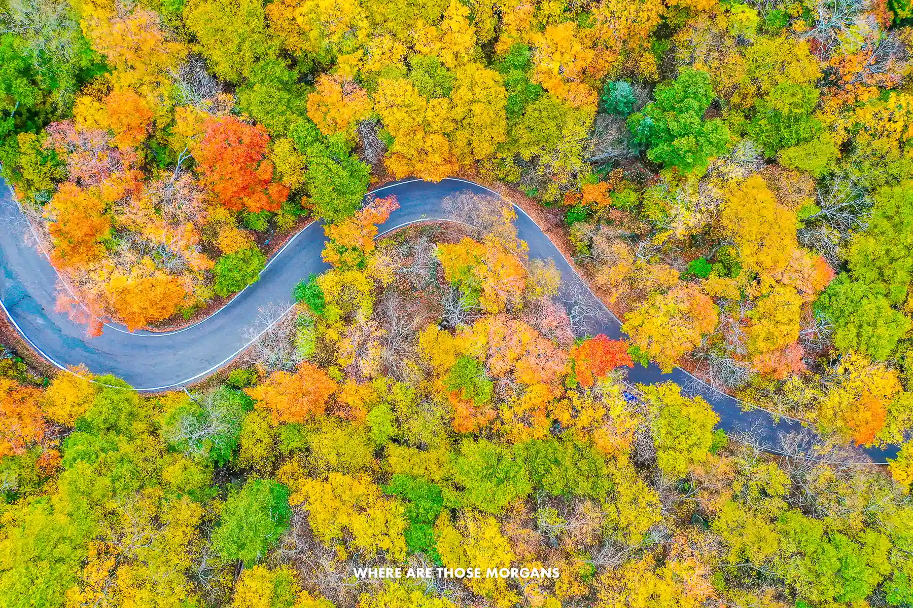 Photo of the twisting Smugglers Notch in Stowe VT cutting through  a forest of trees with vibrant fall foliage colors