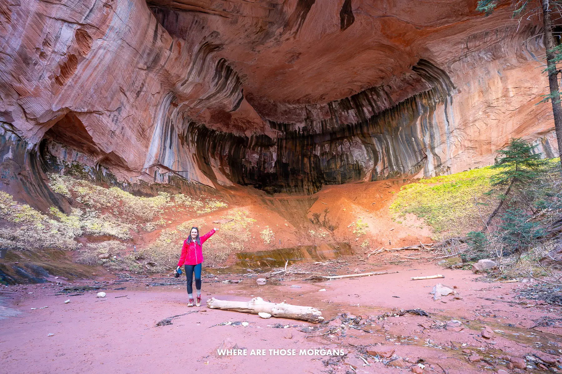 Photo of Kristen at the end of Taylor Creek Trail pointing to the enormous Double Arch Alcove in Zion's Kolob Canyons