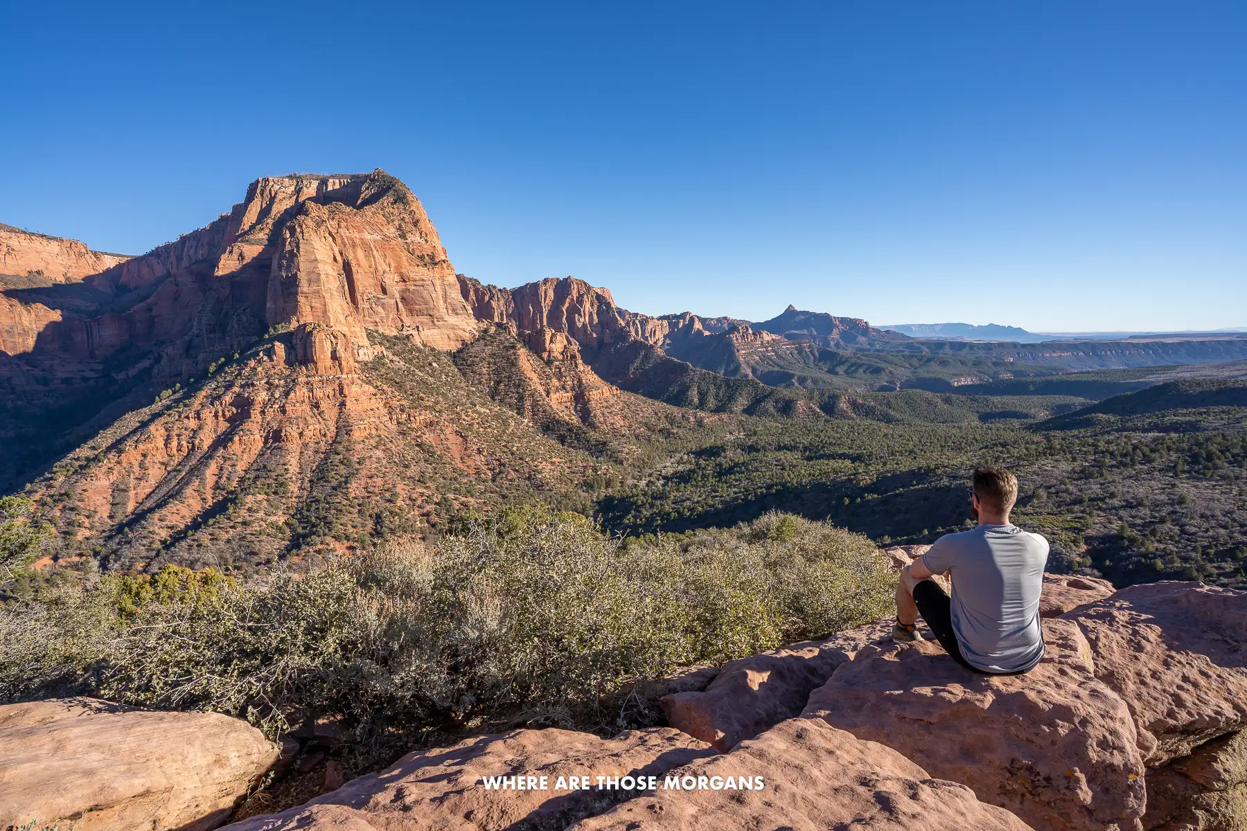Photo of Mark sat on a rock looking at far reaching views over red rocks and canyon floors in Utah