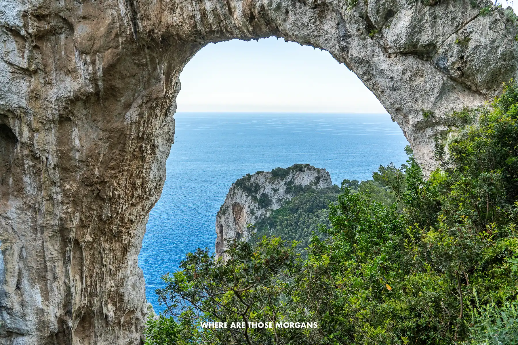 Photo of a gigantic natural arch rock formation with views of more rocks and trees on a coastline 