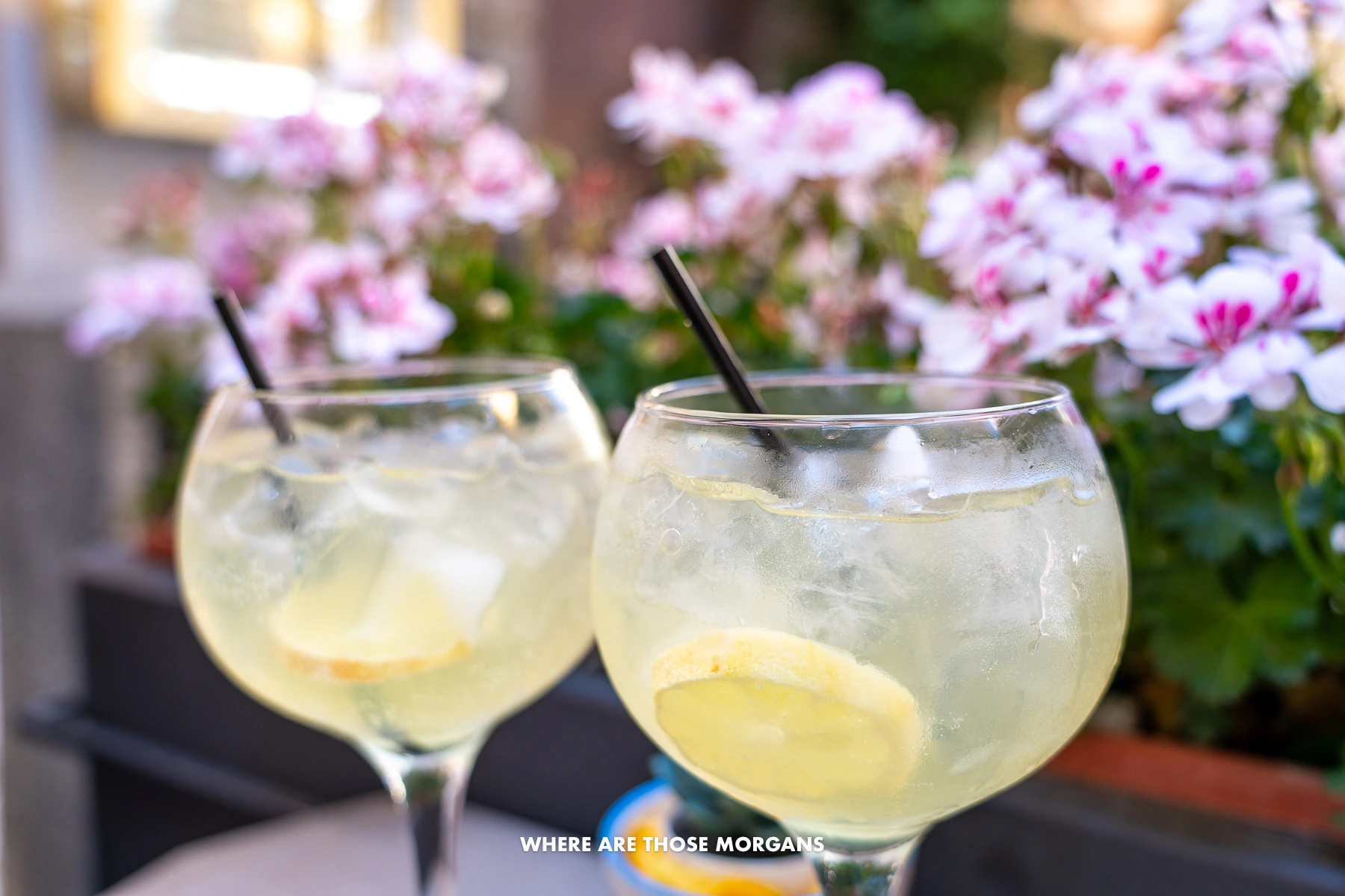 Photo of two glasses filled with limoncello spritz and flowers behind
