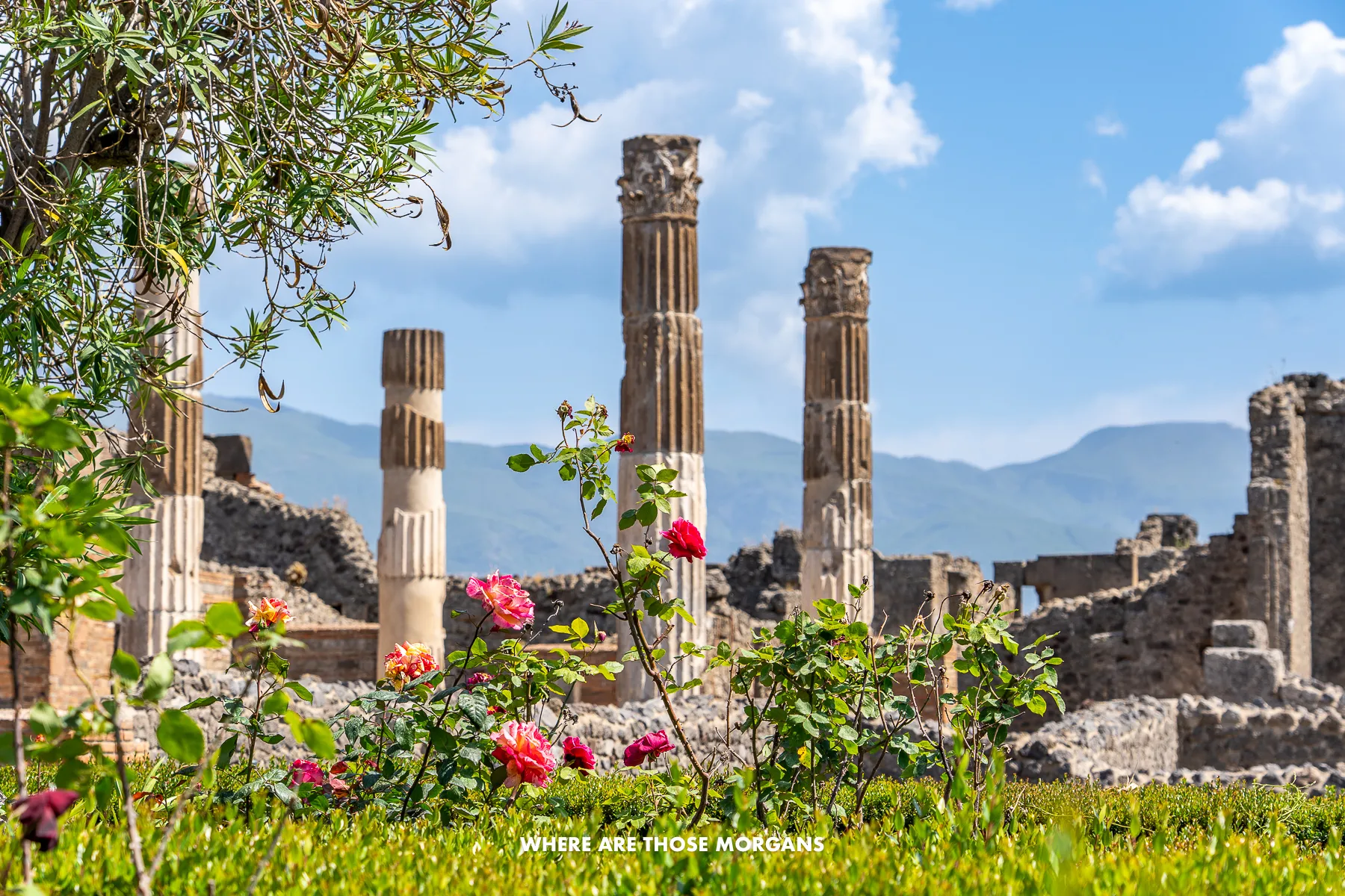 Photo of tall columns in ruin with grass and flowers in the foreground and distant mountains behind on a clear sunny day