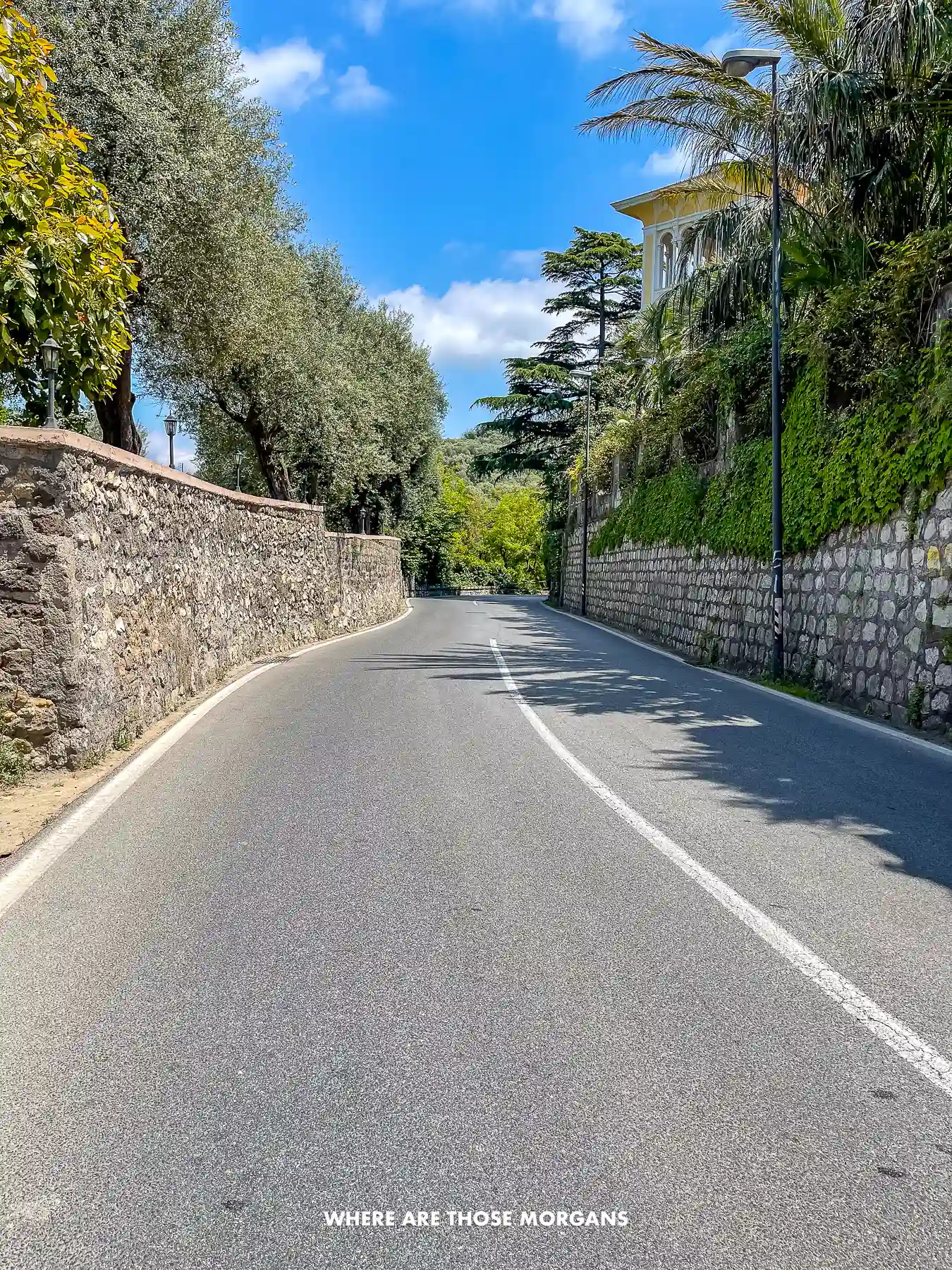 Photo of an empty narrow two lane road with walls and trees to either side on a sunny day in Italy