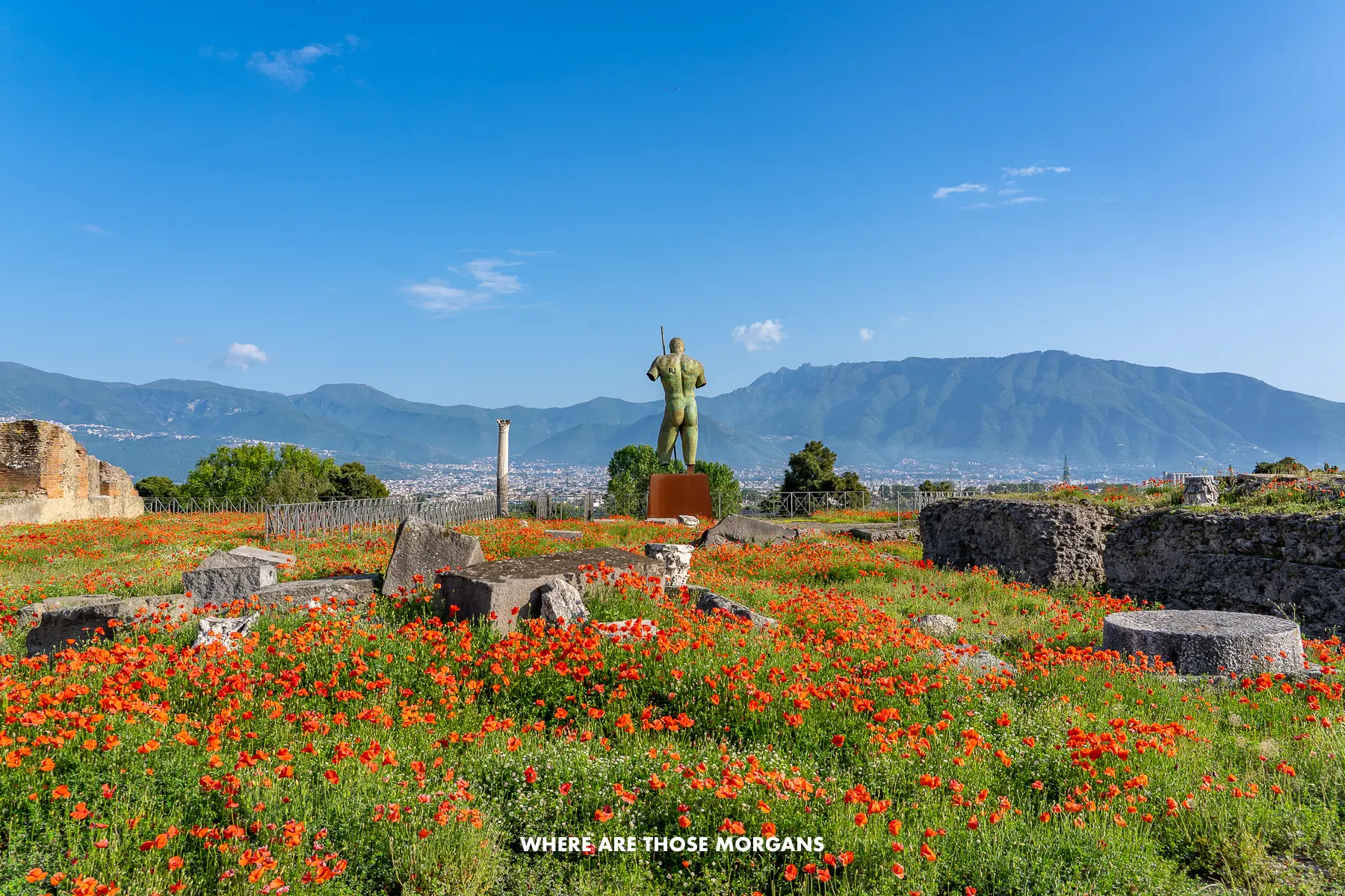 Photo of grass and red flowers with a statue and distant mountains on a sunny day in Italy's Amalfi Coast