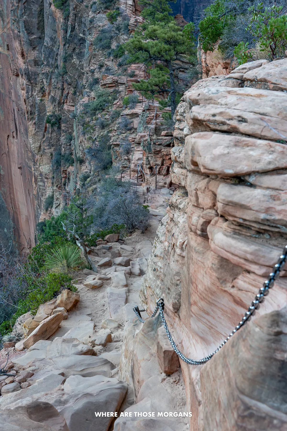 Photo of a narrow hiking path with chains to hold onto and long drops to the side