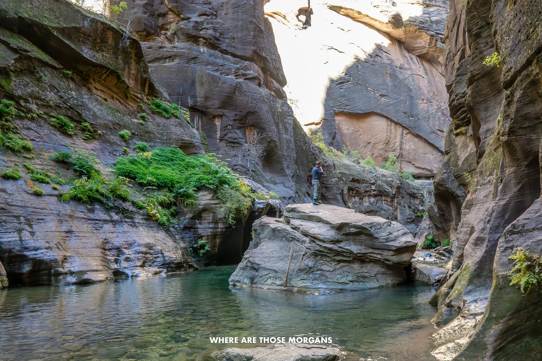 Photo of a hiker in waterproofs standing on a large boulder inside a slot canyon