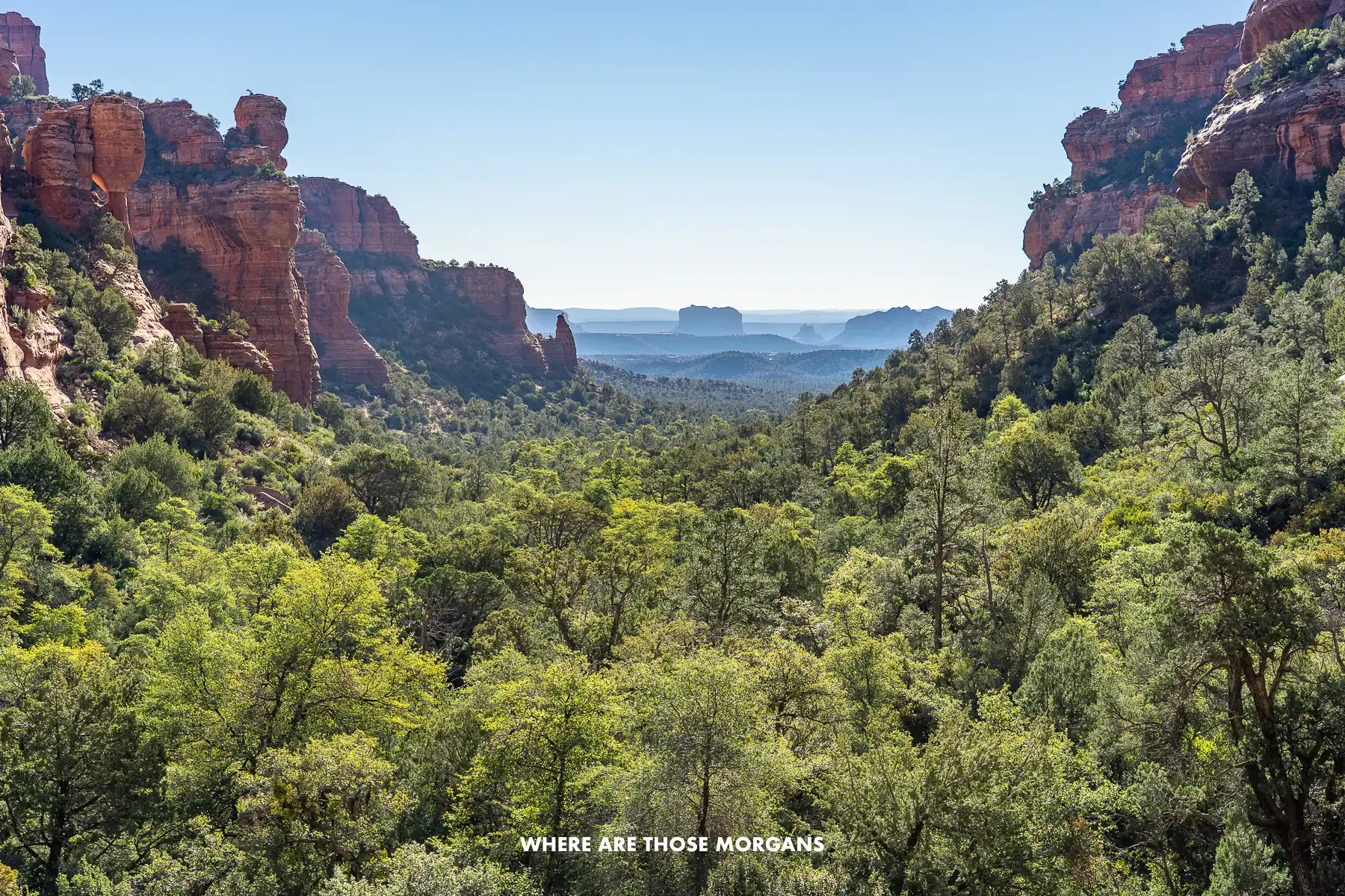Photo of a U-shaped valley between red rock cliffs filled with green vegetation