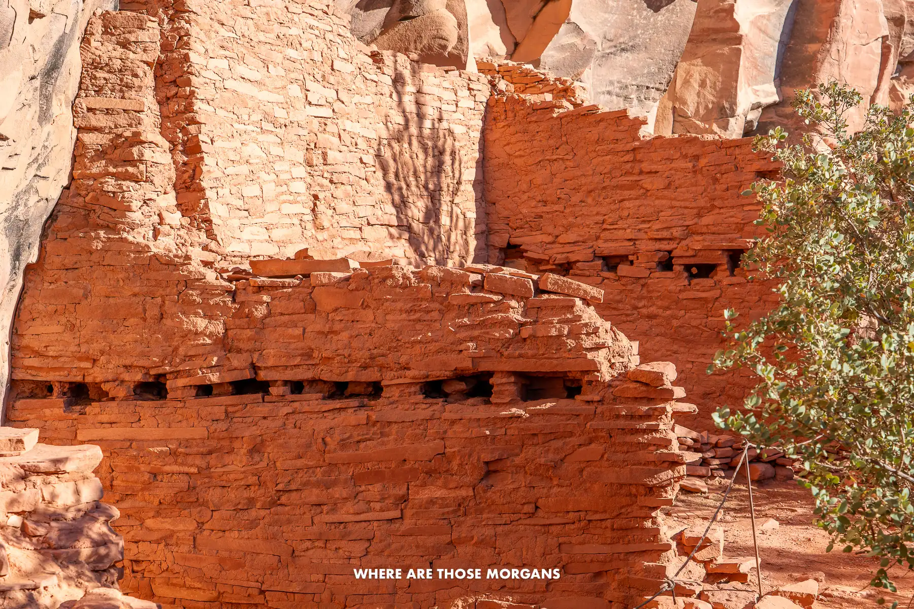 Photo of sandstone ruins built into a cliff face under sunlight