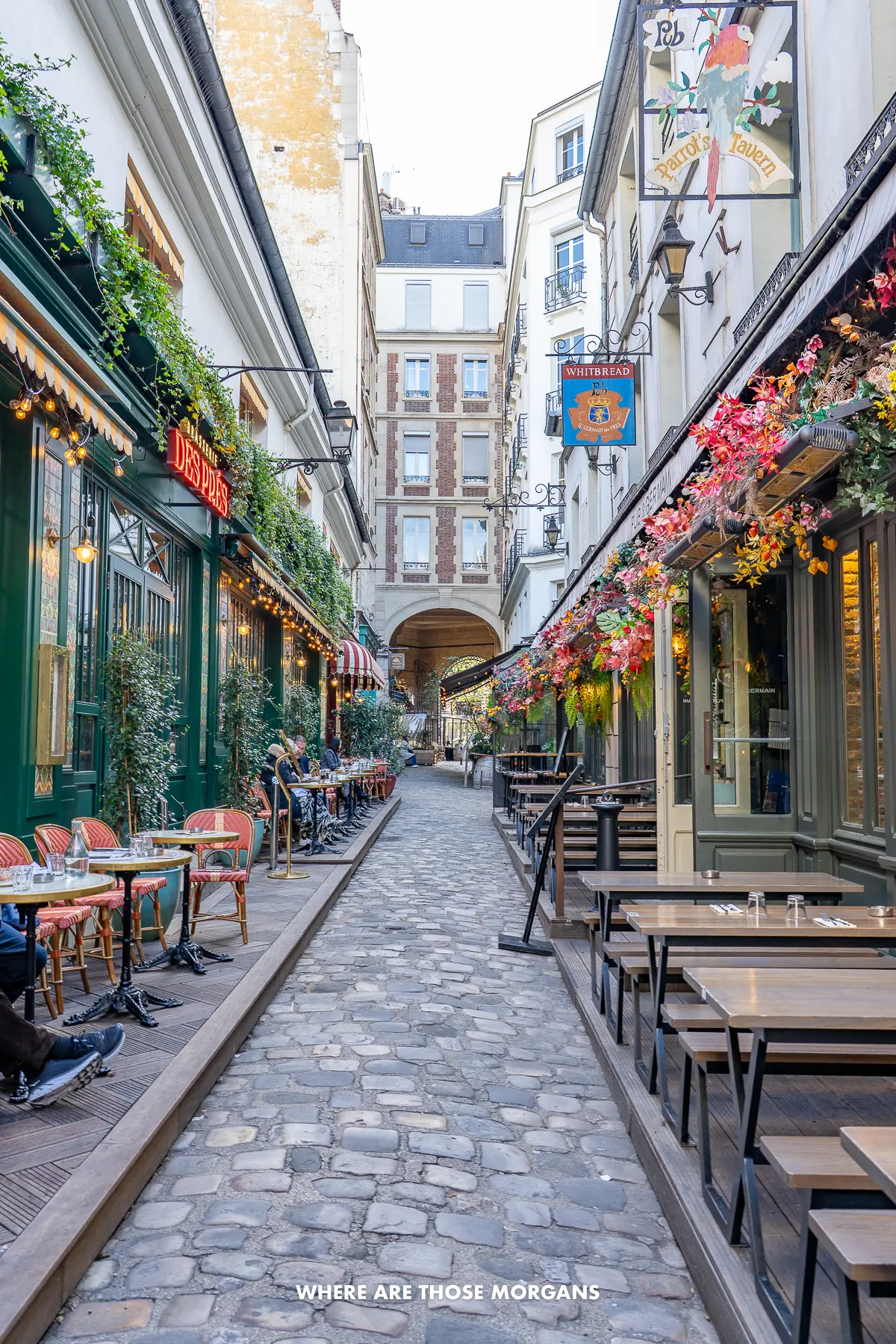 Photo of a narrow cobbled alley lined with restaurants and outdoor tables