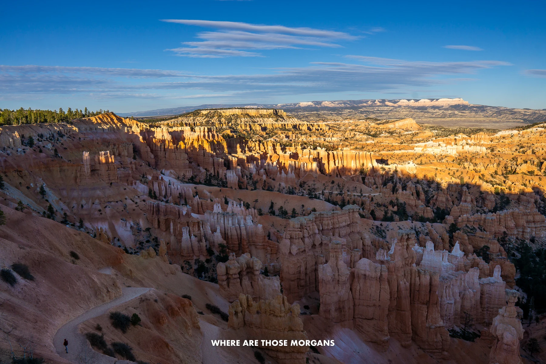 Photo of Bryce Canyon amphitheater half covered in sunlight and half in shadow at sunset