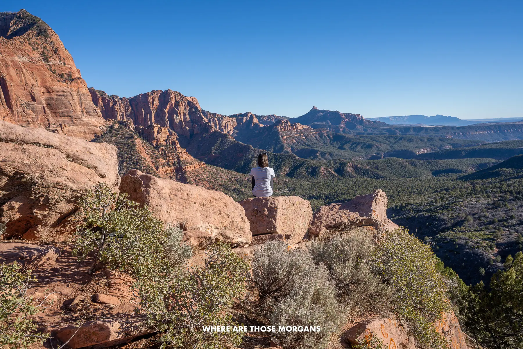 Photo of a hiker sat on red rocks overlooking a wide open valley view with tall red rocks in Utah