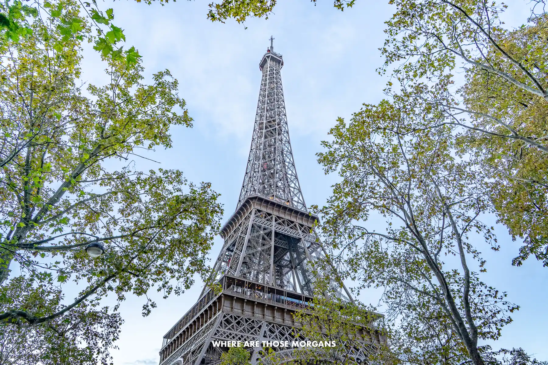 Photo looking up at the Eiffel Tower between trees with green leaves