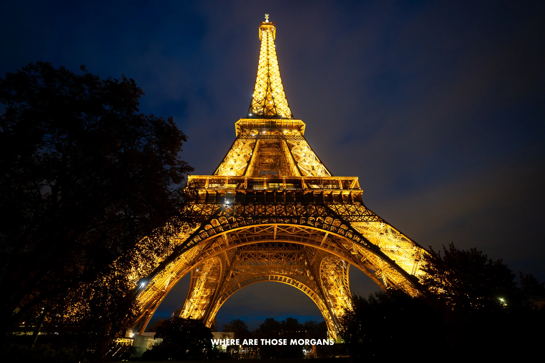 Looking up at the Eiffel Tower sparkle orange and white colors at night from the gardens directly below