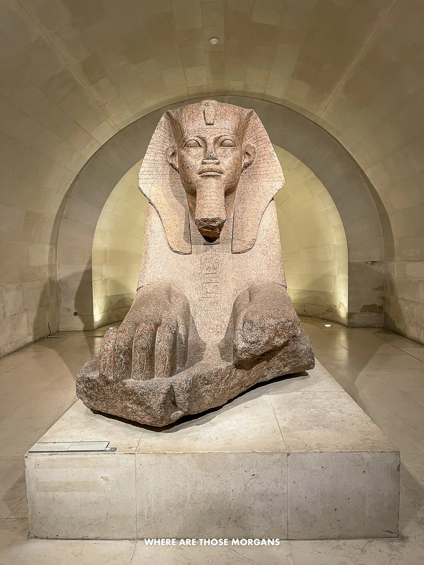 Photo of the Great Sphinx of Tanis inside 