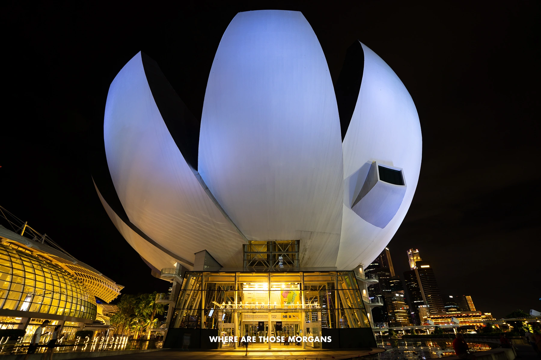 Huge lotus shaped building housing a museum taken at night