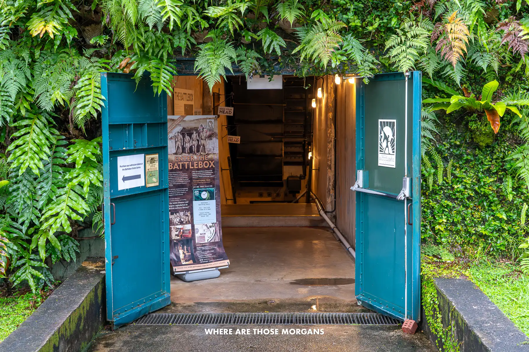 Entrance to an underground bunker museum with two small blue doors opened and surrounded on three sides by vegetation