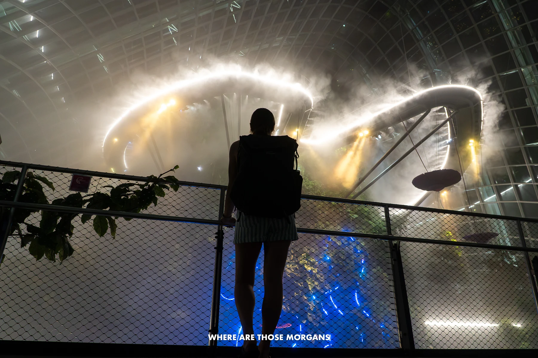 Kristen from Where Are Those Morgans silhouetted looking up at a suspended aerial walkway lit up and misting inside a massive greenhouse in Gardens by the Bay Singapore