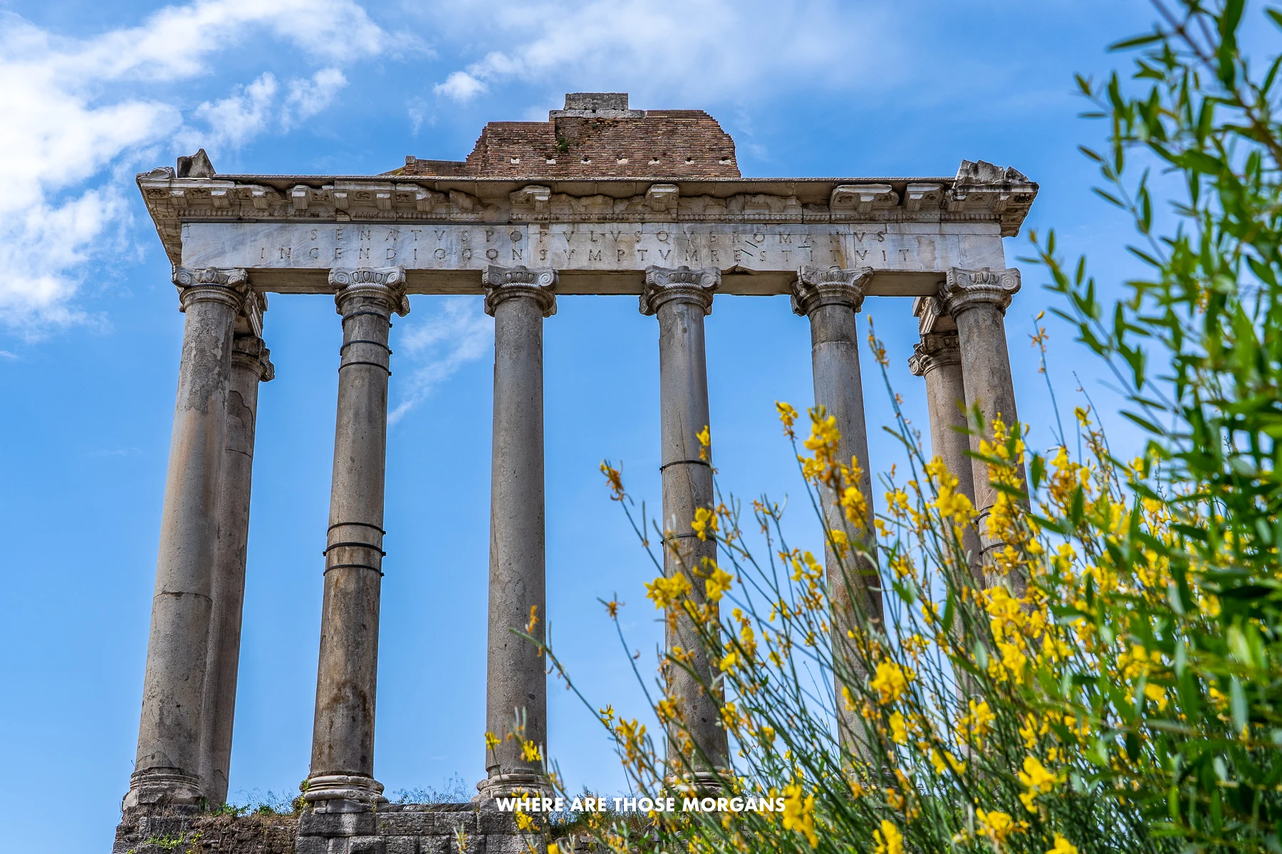 Tall and wide ruin with 6 columns behind lush green vegetation and yellow flowers under a blue sky