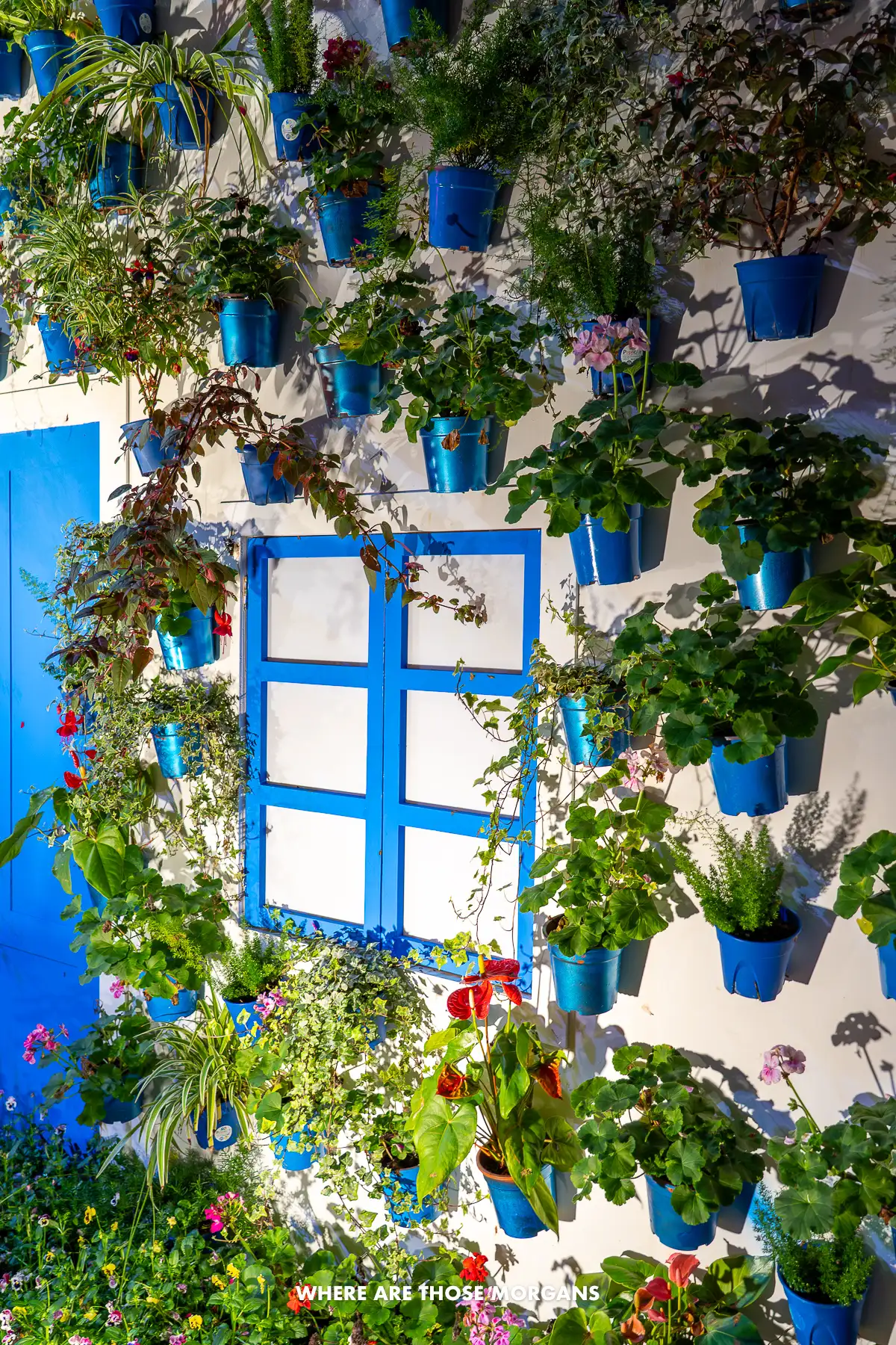 Mock up Mediterranean garden with blue doors, window shutters and plant pots holding flowers lit up at night