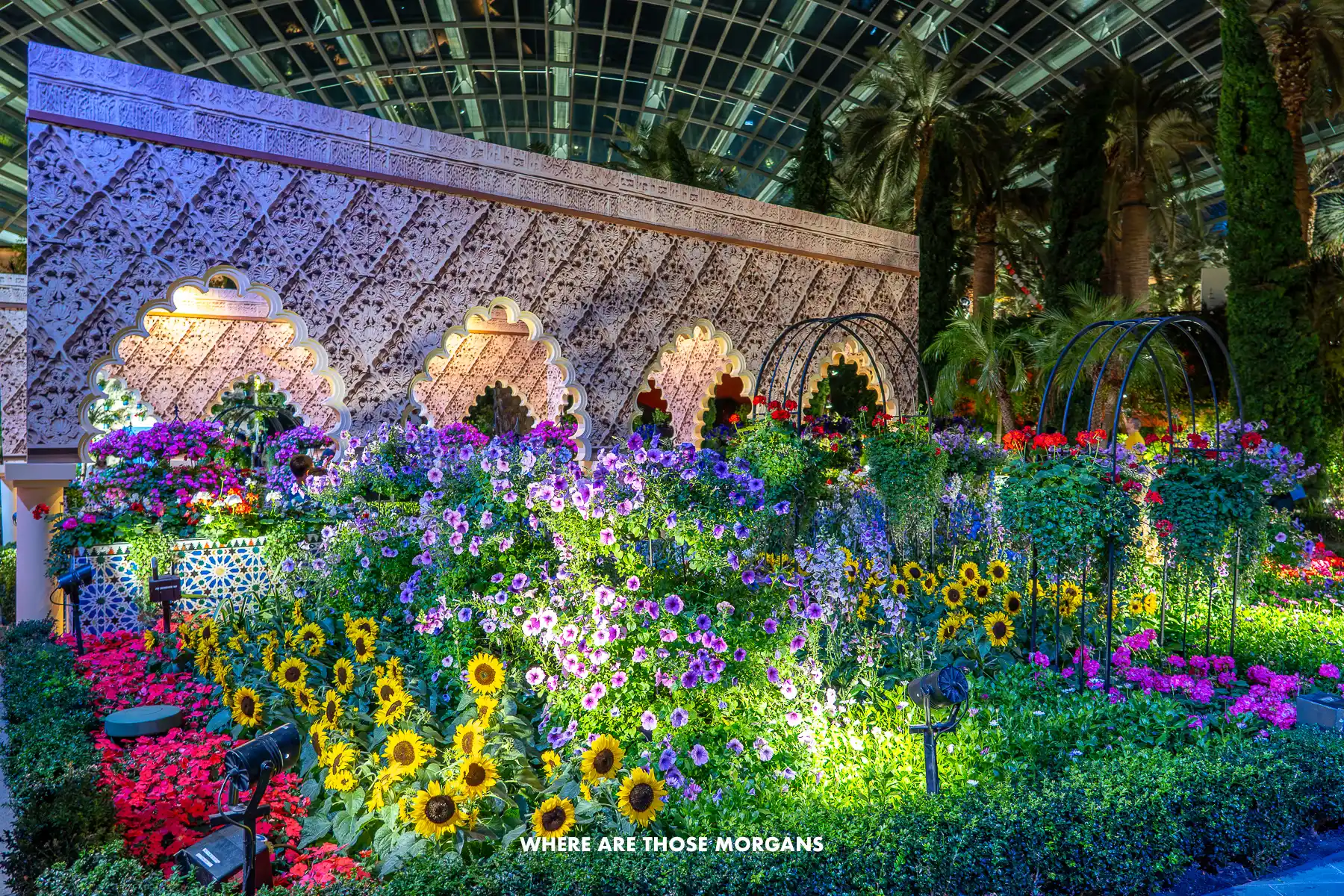 Inside a dome at night with vibrant flowers on display and mock up location gardens