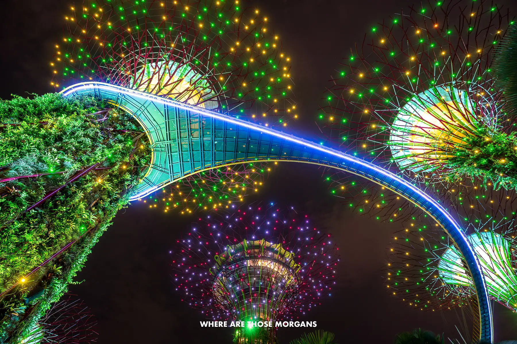 Looking up at fake trees lit up different colors and a narrow walkway bridge contrasting brightly against the dark night sky