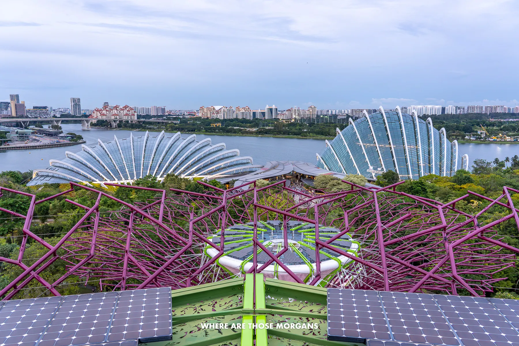 View of two giant glass conservatories, water and city buildings at dusk