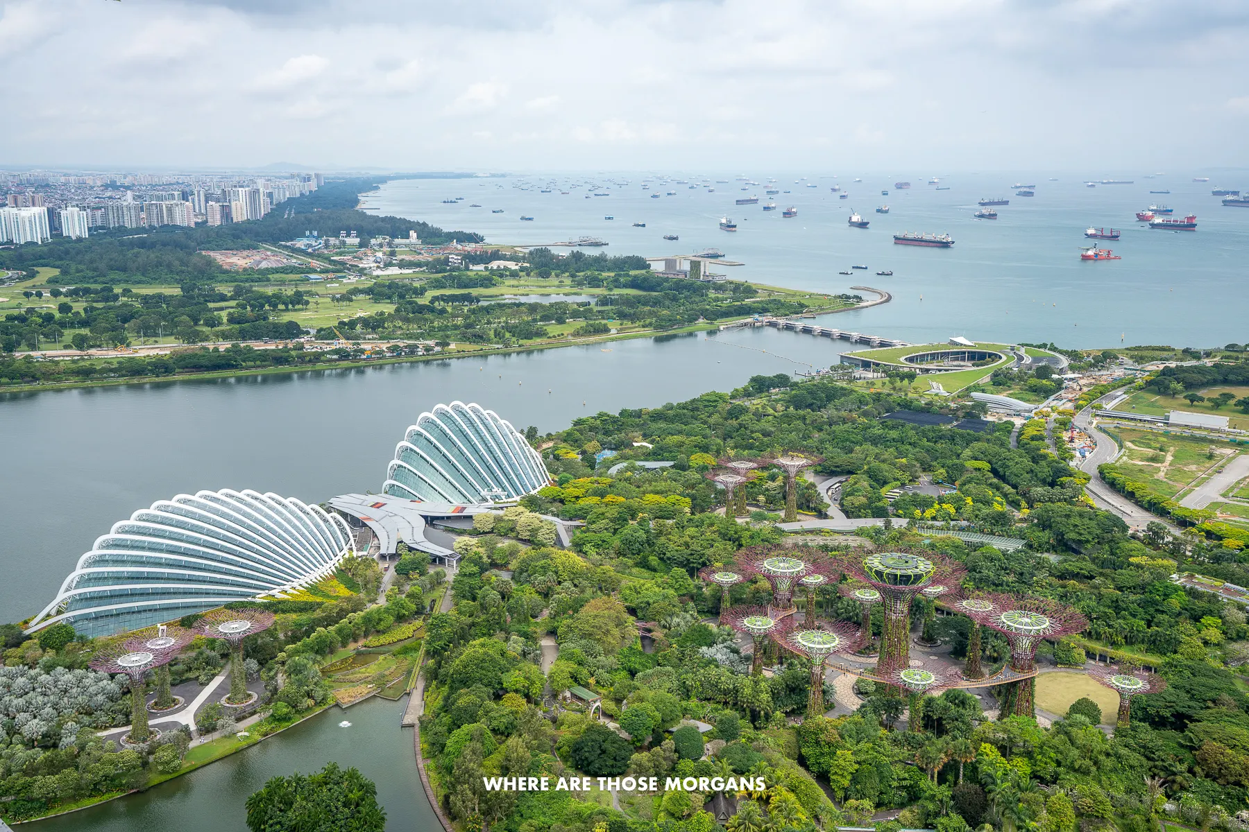 Looking down over Gardens by the Bay from the top of Marina Bay Sands hotel