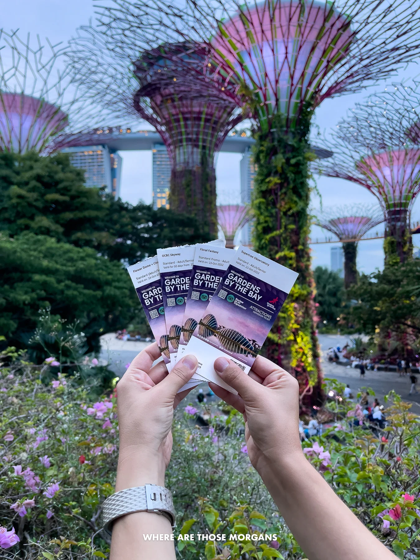 Hands holding up paper ticket stubs for Gardens by the Bay in Singapore