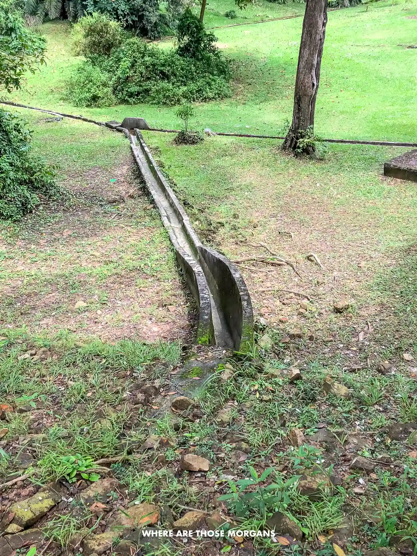 Narrow reservoir acting as water source in a big field with trees
