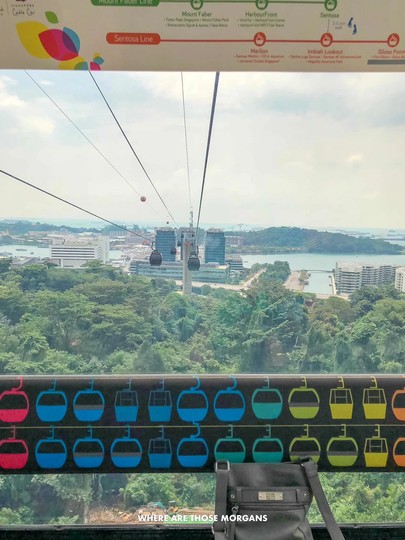 Riding a cable car above trees towards an island