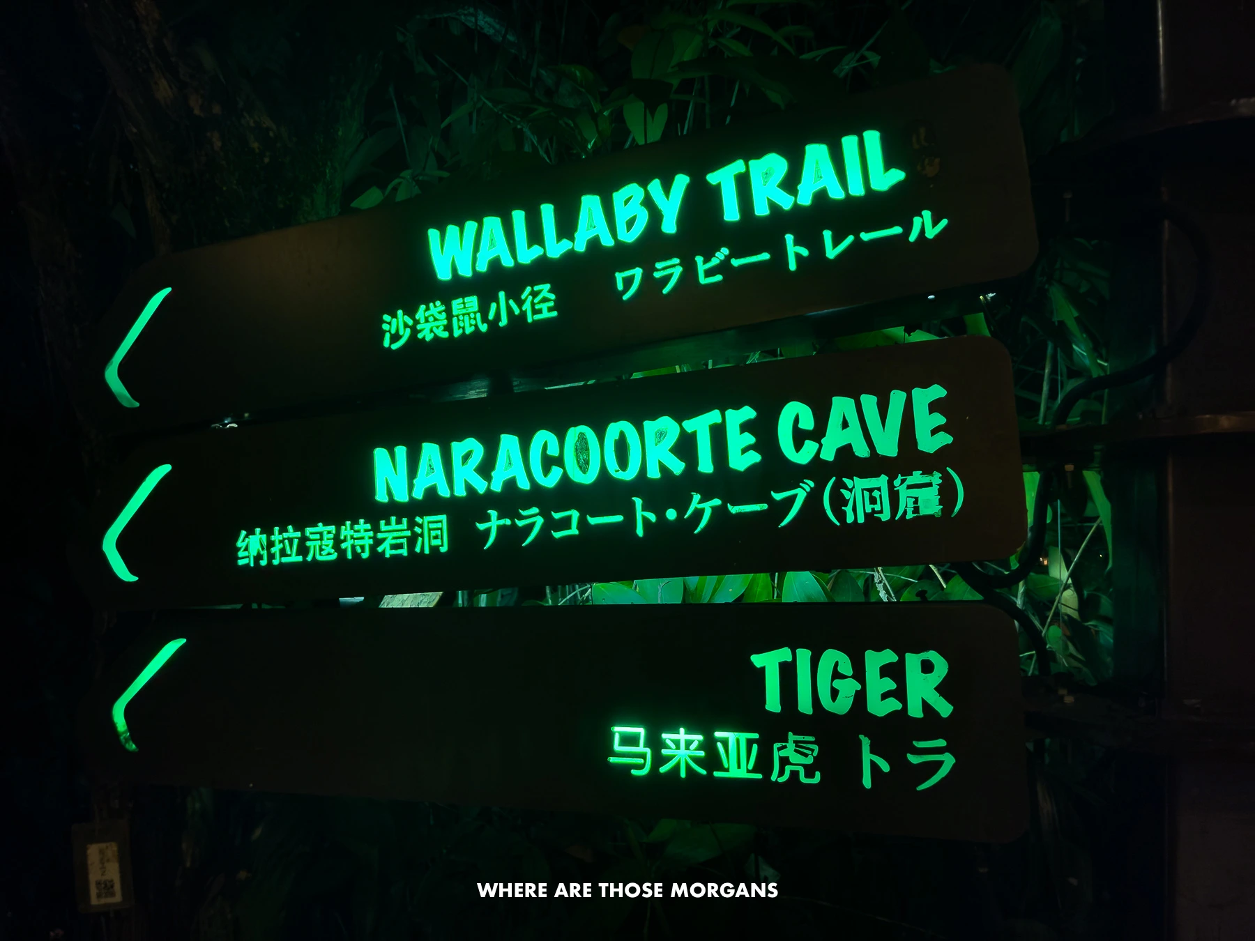 Neon signs at the Night Safari in Singapore Zoo showing directions to different animals