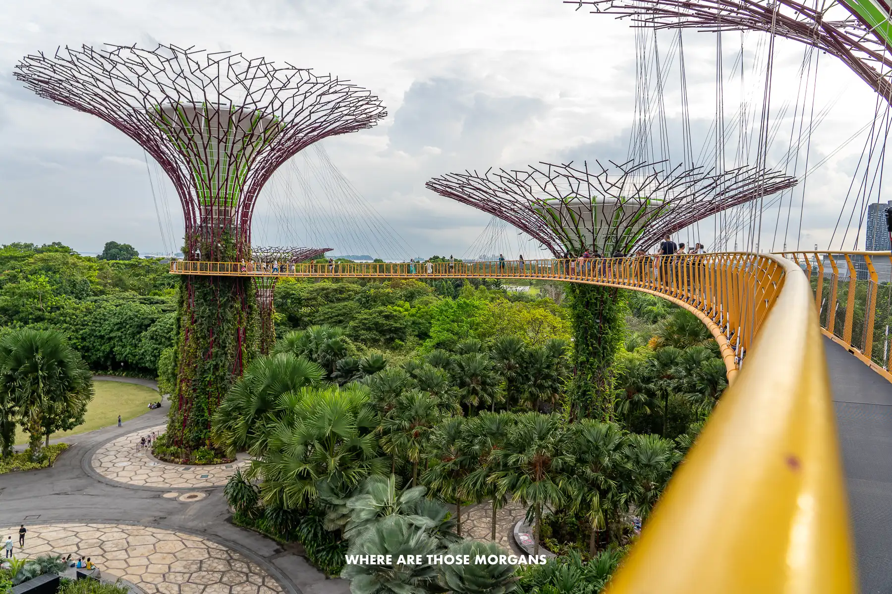 Photo taken close to a golden colored curving rail on a narrow walkway suspended between two fake trees in Singapore