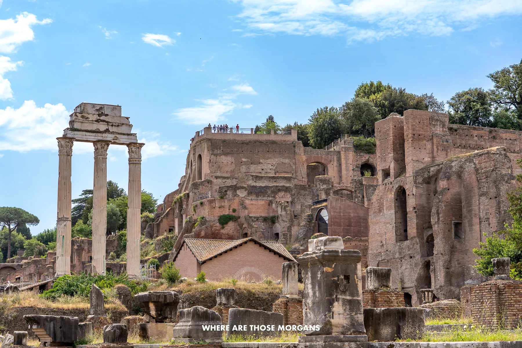 Columns and ruins with tourists exploring and trees mixed in below a blue sky