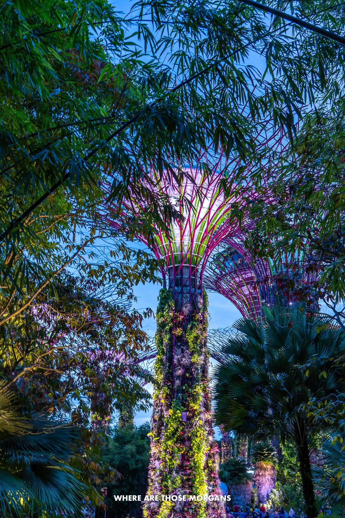 A tall fake tree lit up at night between real trees