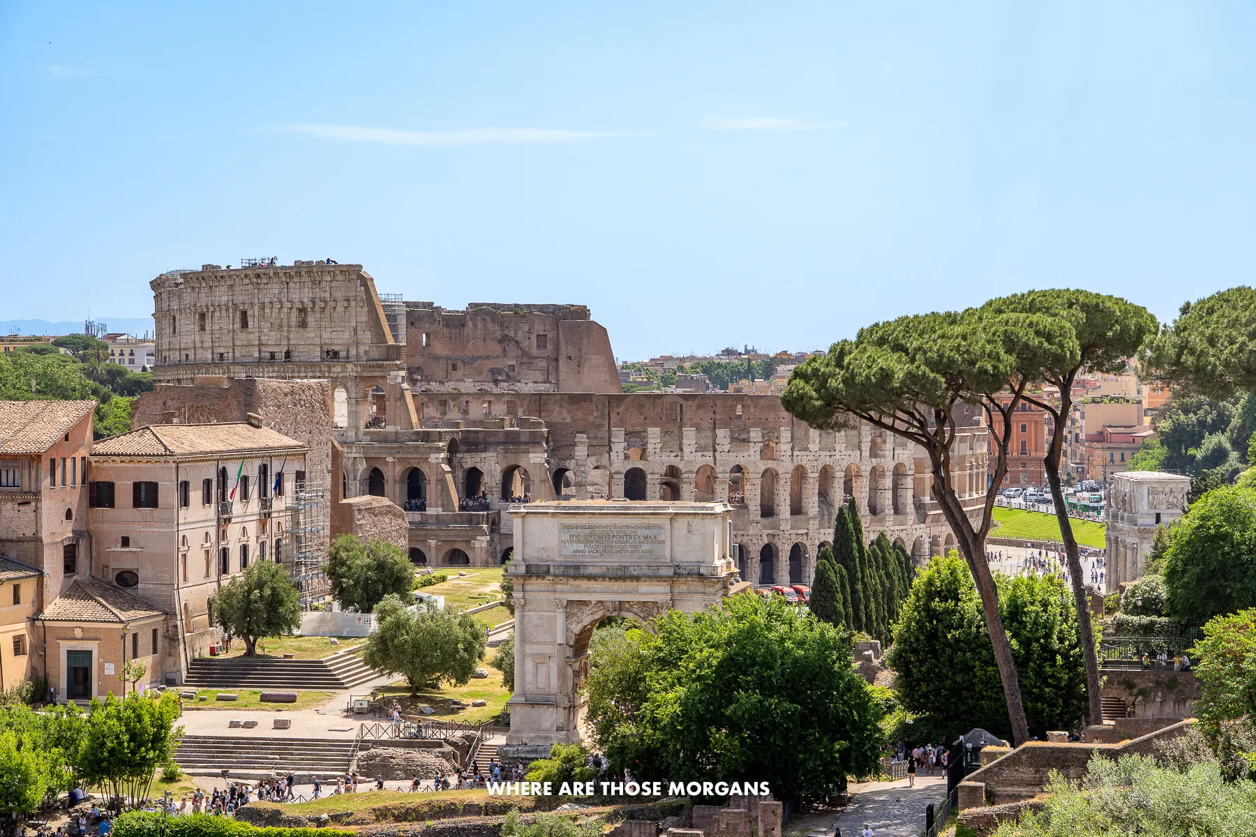 Close up photo of the Colosseum and Roman Forum as seen from Palatine Hill with trees and ruins baking in the sun under a clear blue sky