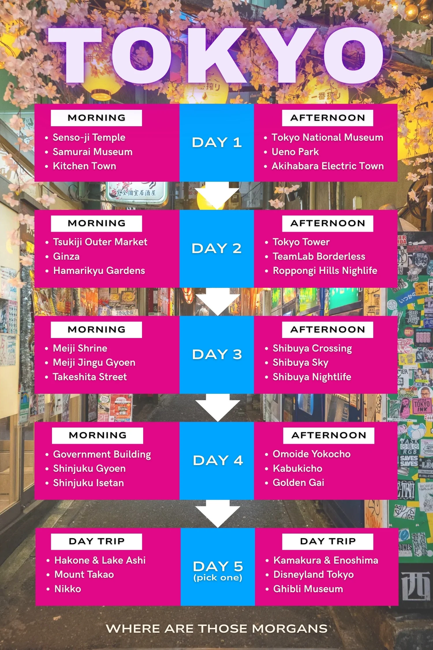 Infographic created by Where Are Those Morgans showing a summarized 5 day itinerary for Tokyo with 3 stops in the morning and afternoon for the first to fourth days, and day trip options for the fifth day