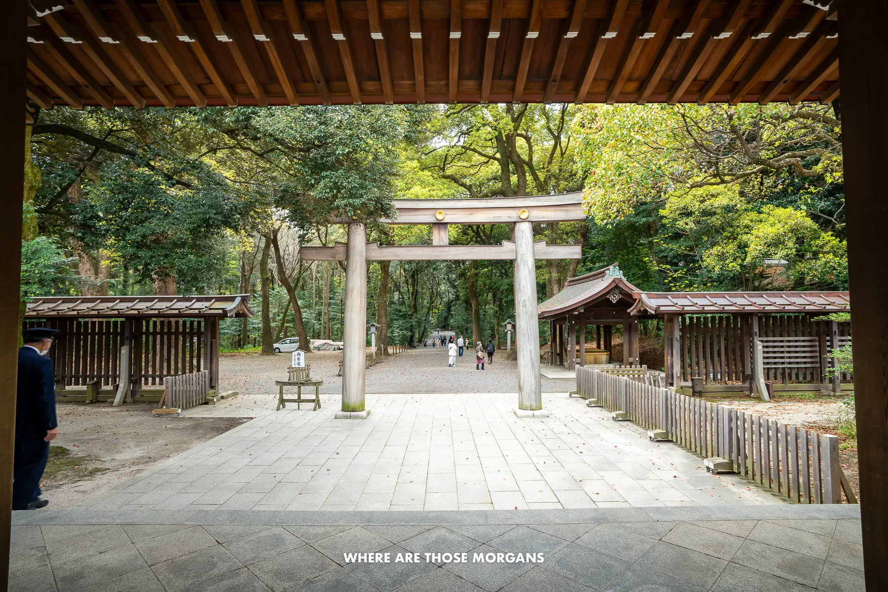 Torii gate and stone path leading into a forest with wooden structures