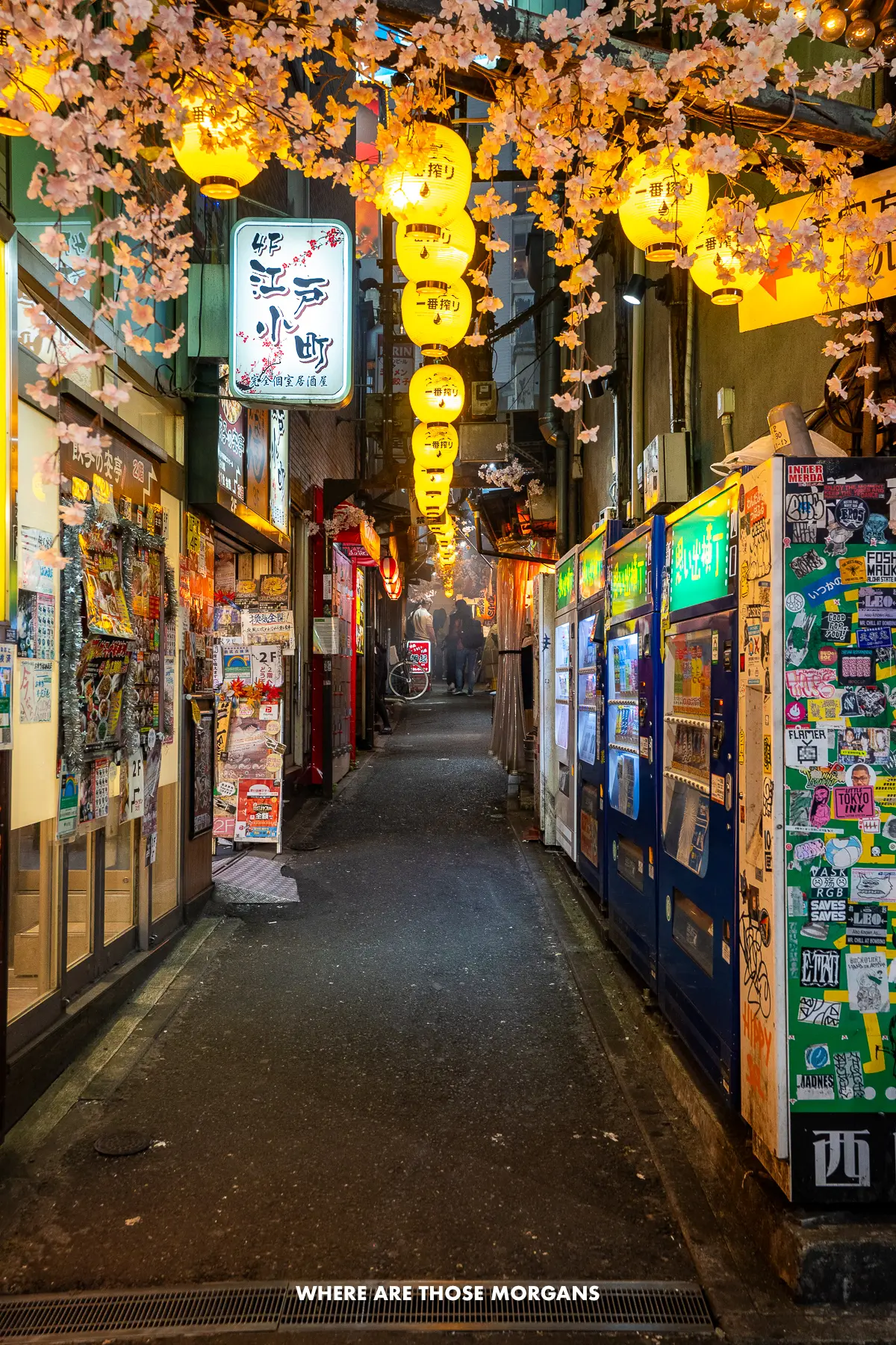 Narrow alley lined with eateries glowing with lights and lanterns at night in Shinjuku