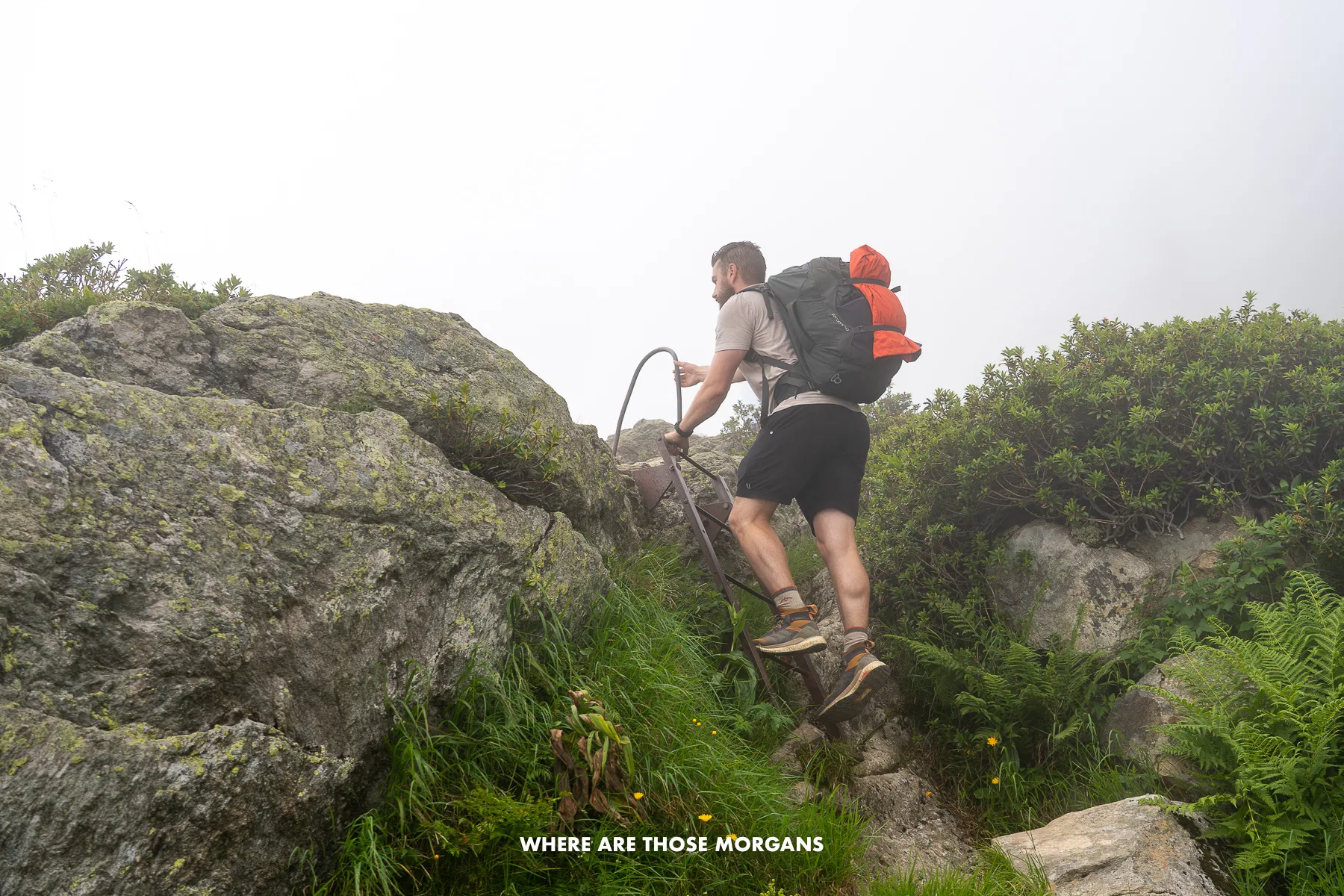 Mark Morgan climbing up a metal ladder on a hiking trail in the clouds wearing Vuori clothes and an Osprey backpack