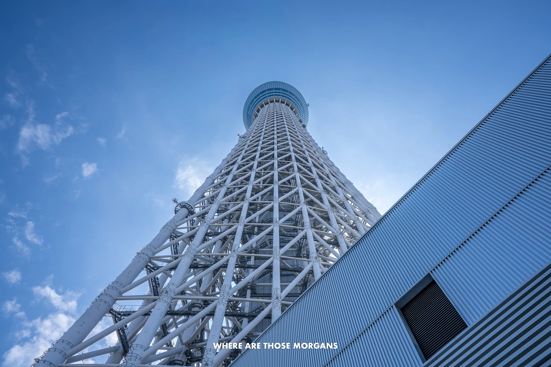 Looking up at the Tokyo Skytree from directly below on a clear day with blue sky