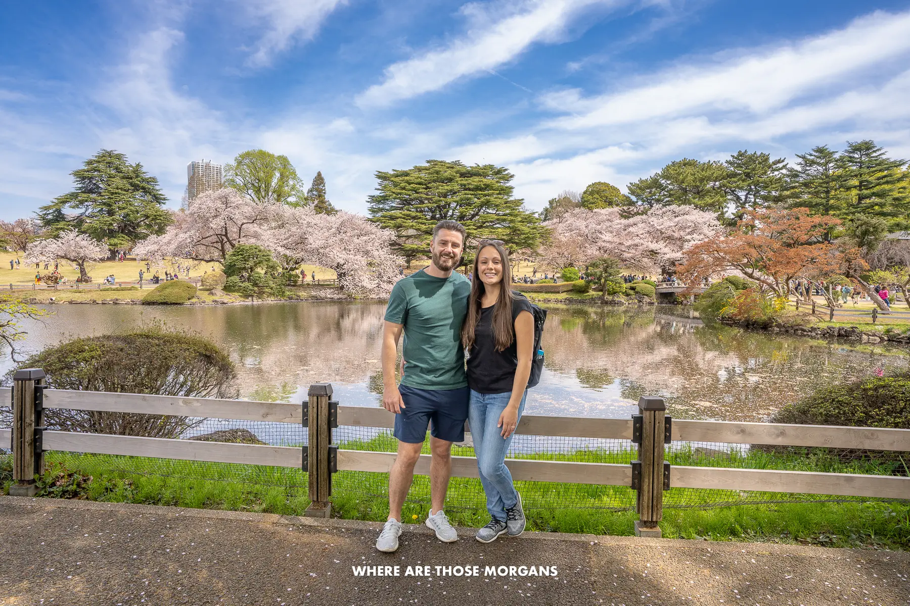 Mark and Kristen from Where Are Those Morgans standing together in front of a short wooden fence, grass, a pond and trees with cherry blossom flowers under a blue sky in Shinjuku Gyoen garden in Tokyo