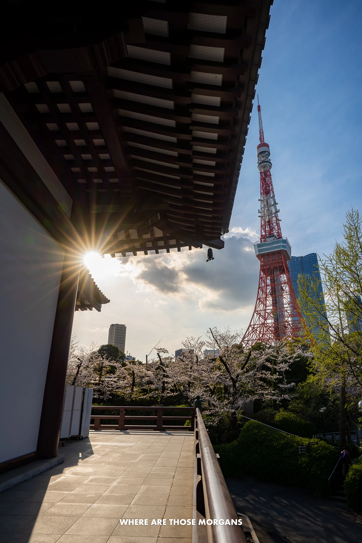 Tokyo Tower next to Zojo-ji Temple with a starburst of the sun