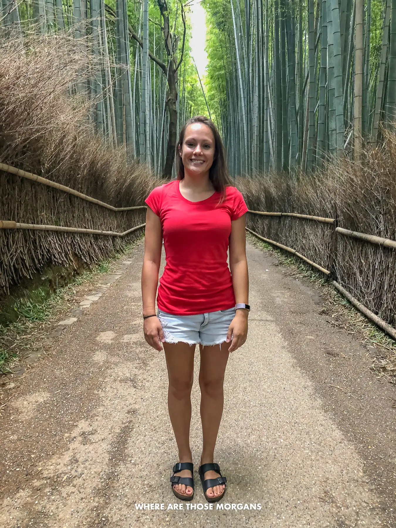 Kristen from Where Are Those Morgans on a narrow path flanked by fences, bushes and tall skinny bamboo trees