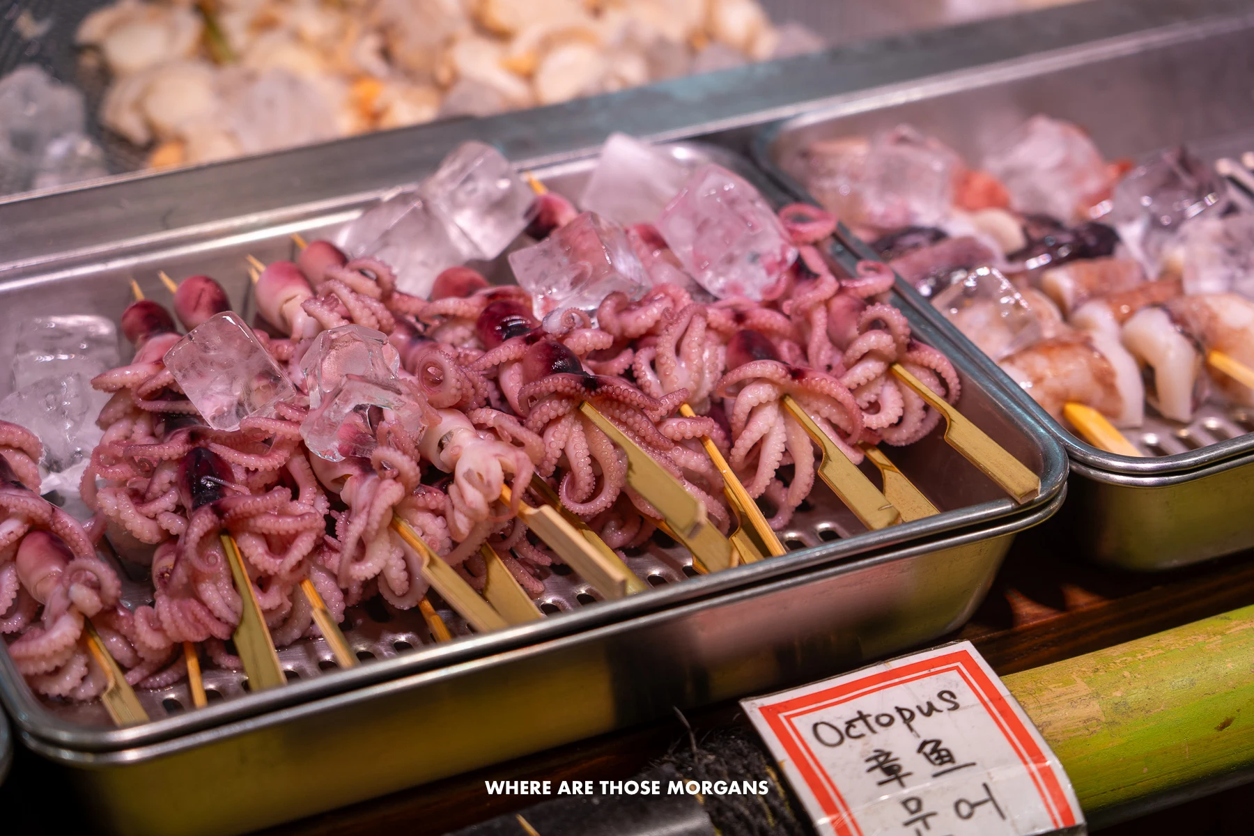 Market display case with baby octopus on skewers in Japan